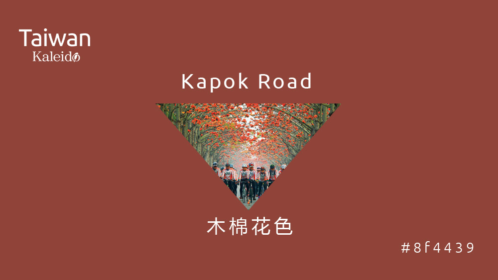 本週精選：木棉花色 Kapok Road #8f4439
